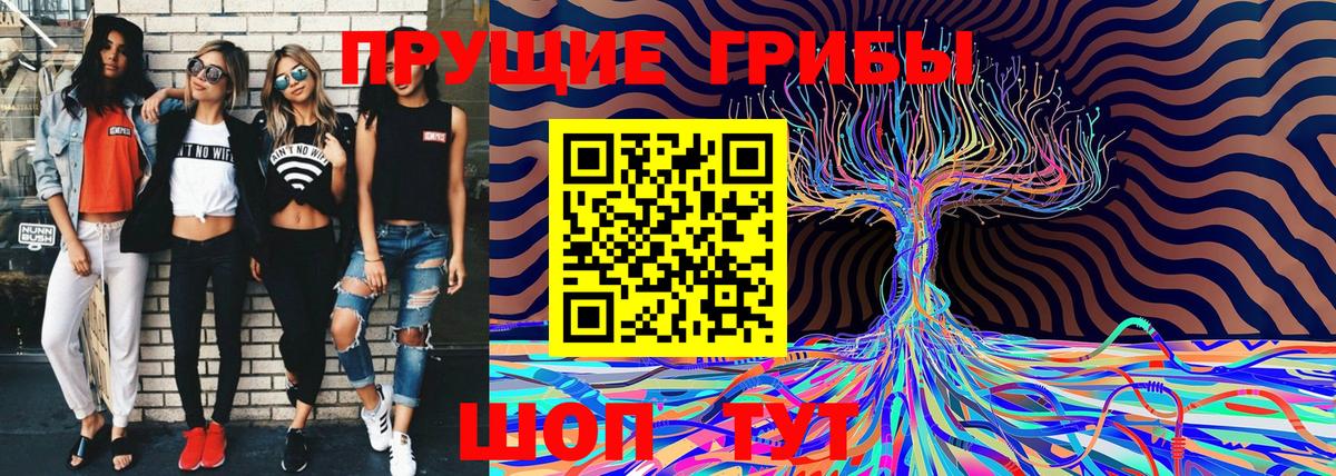 Галлюциногенные грибы MAGIC MUSHROOMS  Псилоцибиновые грибы Cubensis  Печора  Вход с VPN 